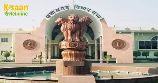 विधेयक में केंद्र की नई पारित कृषि बिलों को नकारने के लिए, छत्तीसगढ़ ने संशोधन विधेयक पारित किया विधेयक में केंद्र की नई पारित कृषि बिलों को नकारने के लिए, छत्तीसगढ़ ने संशोधन विधेयक पारित किया